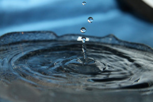 Acqua