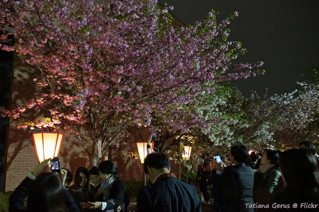hanami
