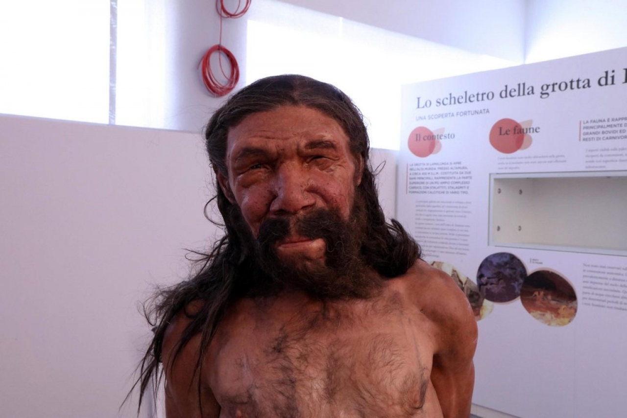 Altamura: il nostro passato ricostruito