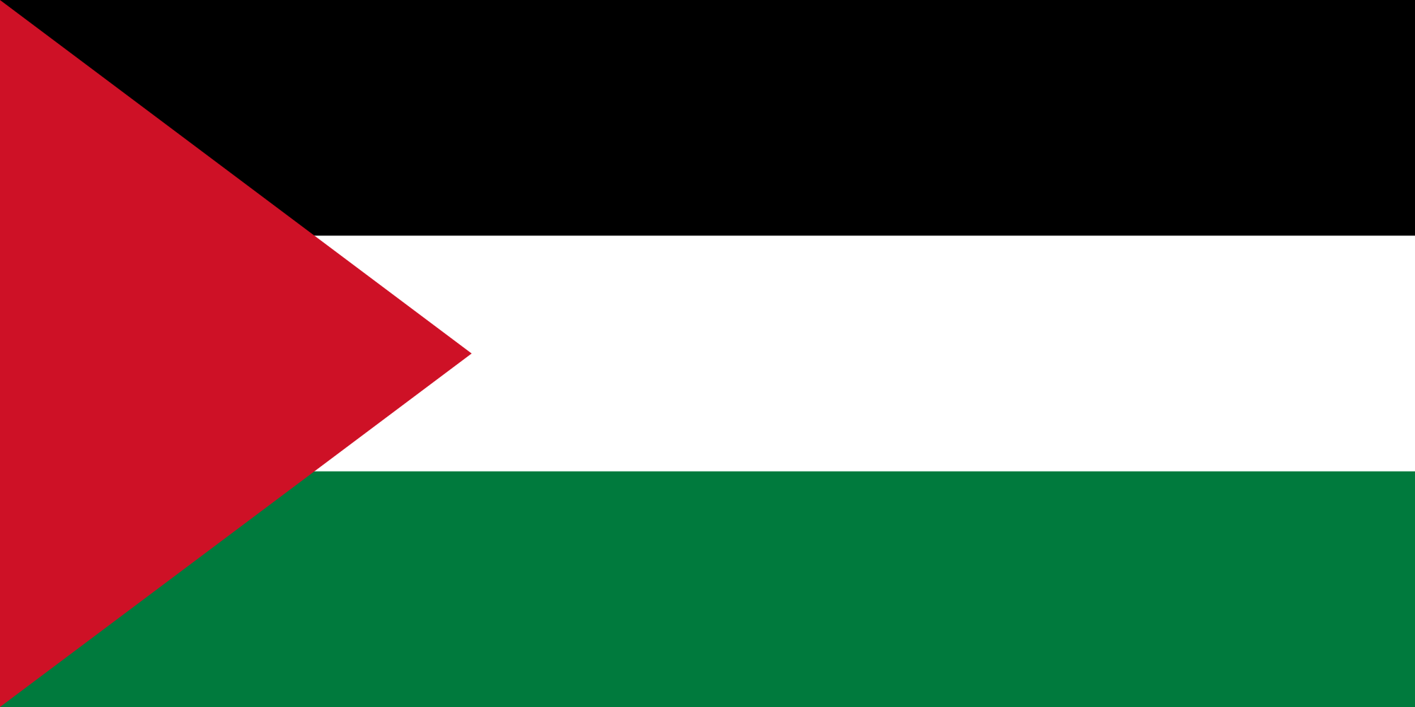 Palestina: uno Stato o solo luogo di scontri?