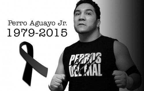 Il wrestler morto all’interno di un ring!