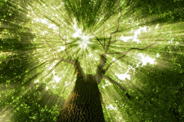 Investimenti green in Europa