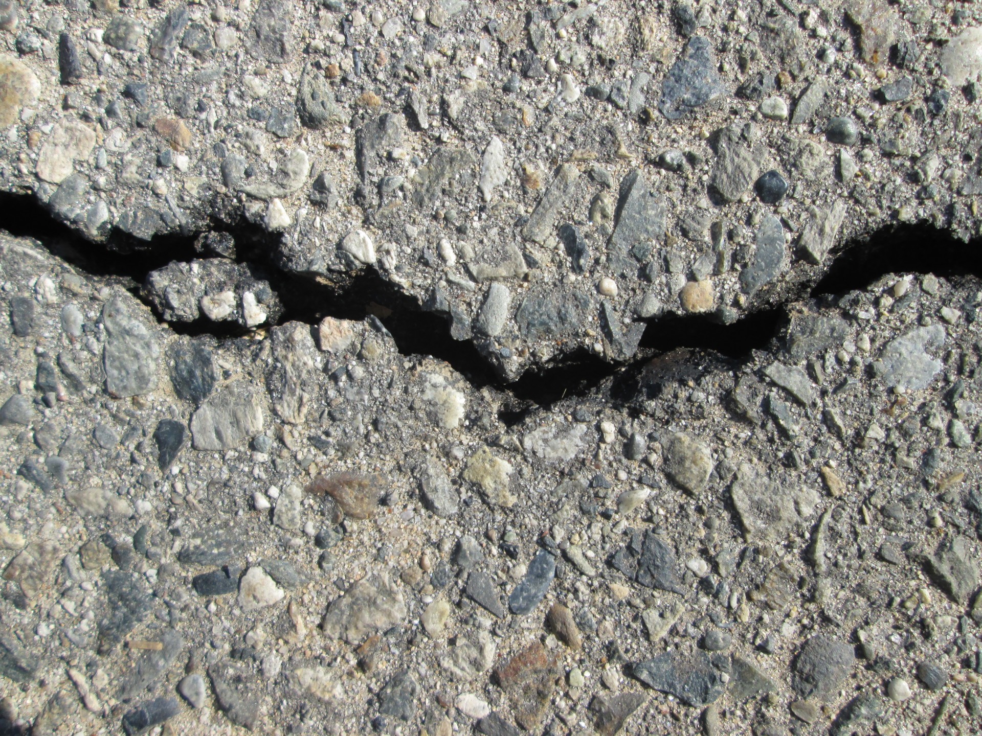 Il terremoto che sconvolse l’Europa (e la mente di un viceministro israeliano)