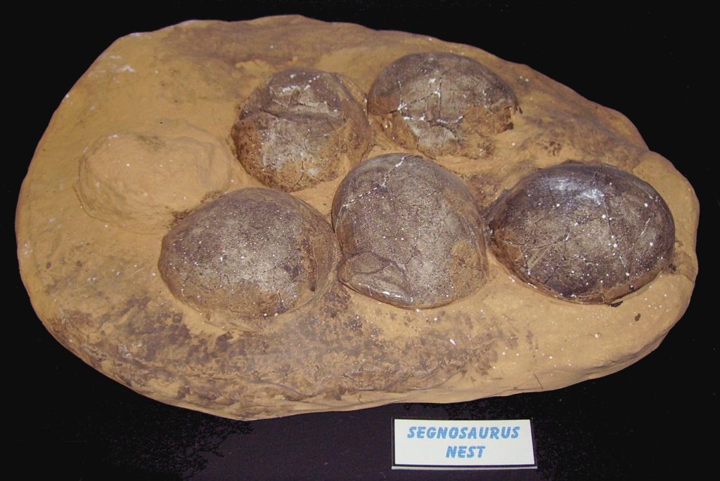 oltre 100 uova di dinosauro uova di dinosauro