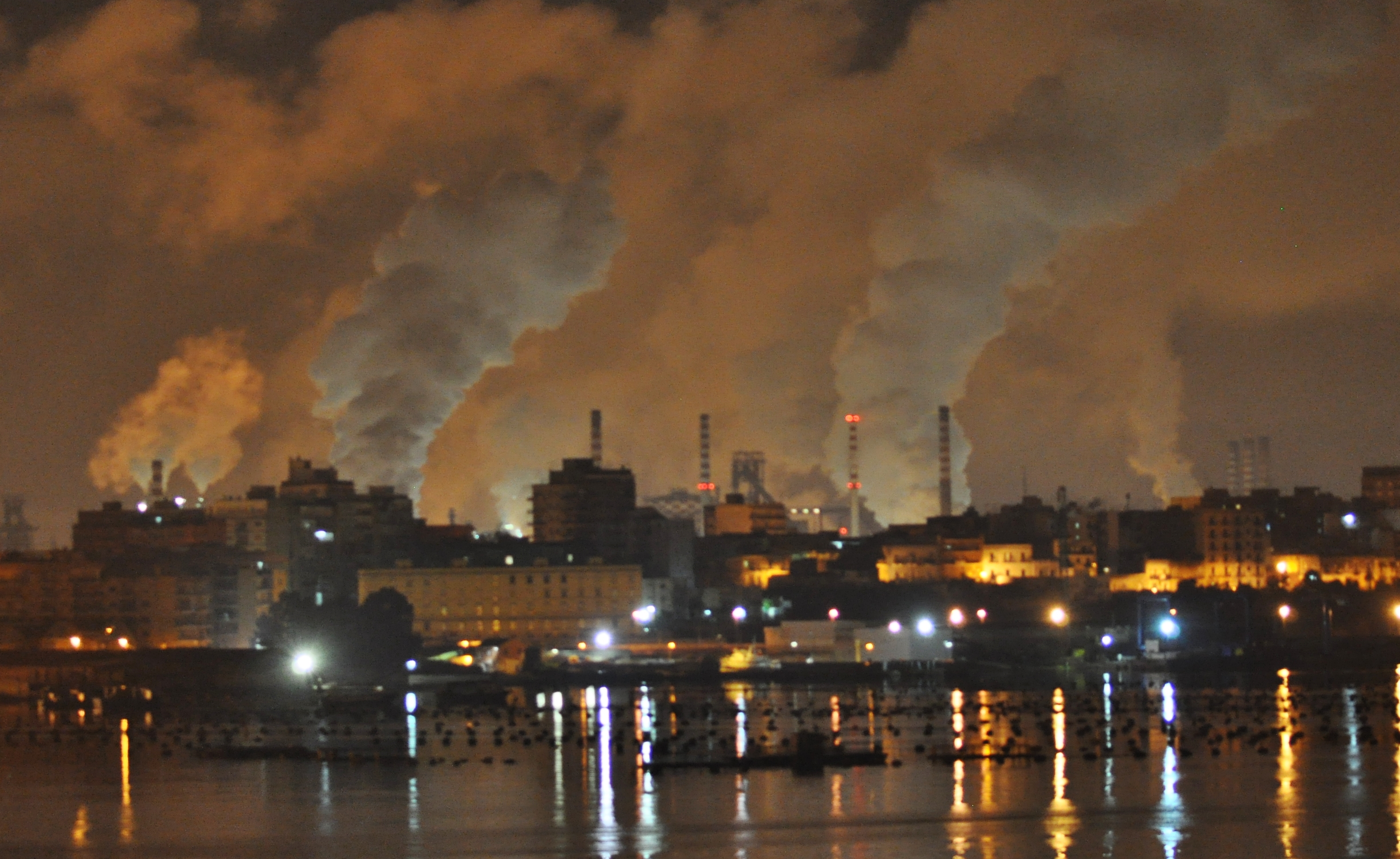 Taranto, la prima foresta urbana per “ripulire” l’area Ilva