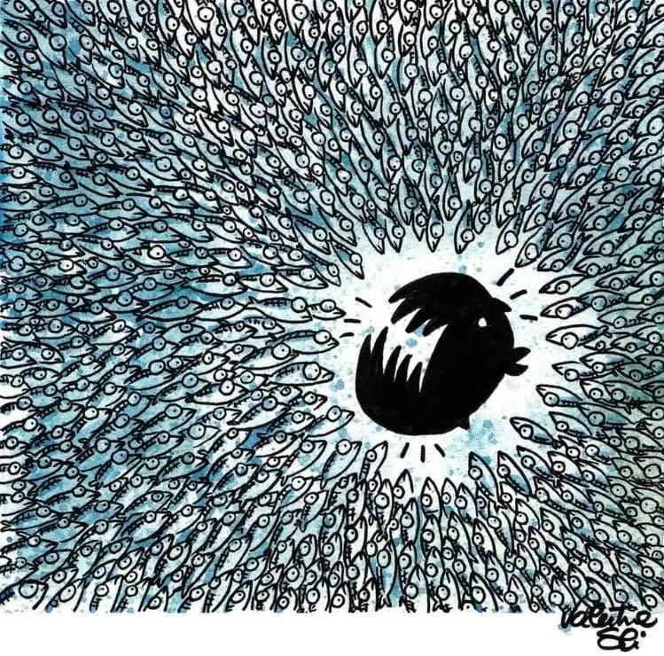 fermare le Sardine www.ultimavoce.it