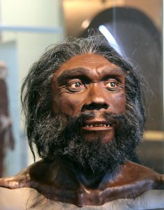 Cacciare con intelligenza: Homo heidelbergensis