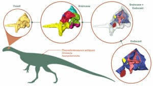 Nuovi dettagli sui dinosauri: 1