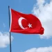 Isis in Turchia, Demiral