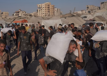 cibo senza glutine Palestina Cisgiordania Striscia di Gaza celiachia