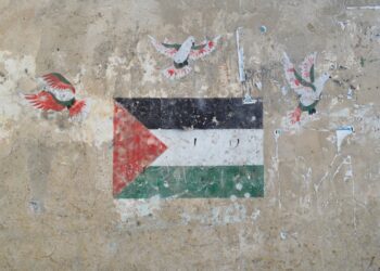 Mohammad Bakri, Palestina