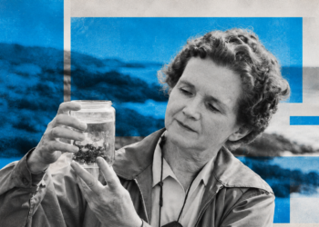 Rachel Carson e il libro che cambiò il nostro rapporto con l'ambiente 1
